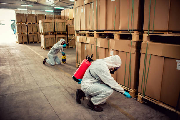 Best Wasp Removal Services  in Danville, IA