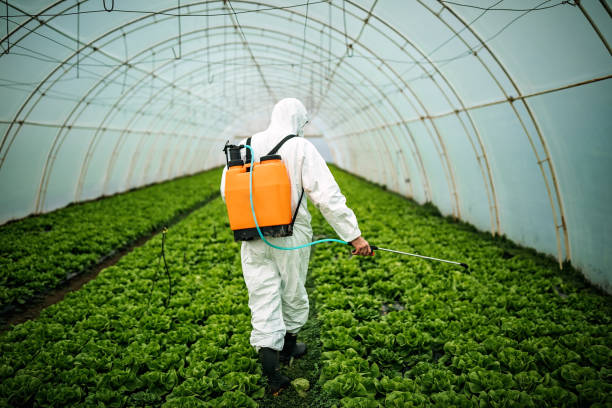 Trusted Danville, IA Pest Control Experts