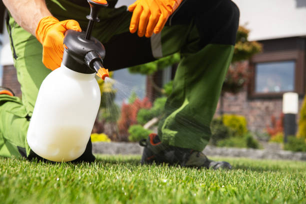 Best Pest Inspection Near Me  in Danville, IA