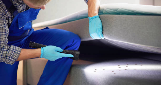 Best Commercial Pest Control Services  in Danville, IA
