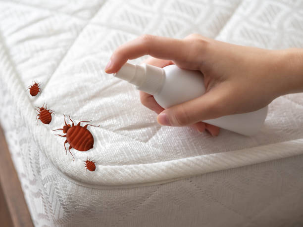 Best Local Pest Control Services  in Danville, IA