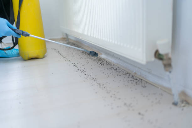 Best Pest Control for Businesses  in Danville, IA