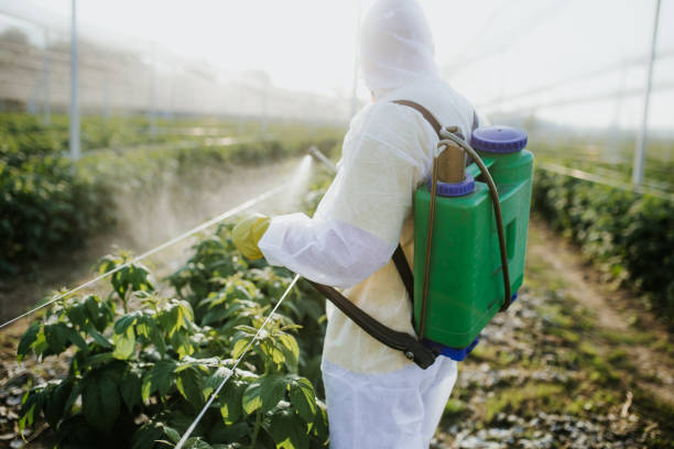 Best Bed Bug Extermination  in Danville, IA